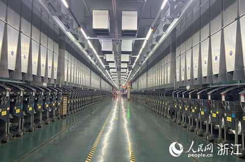 數(shù)字烏鎮(zhèn)之變 觸網(wǎng) 十年 不止水鄉(xiāng)